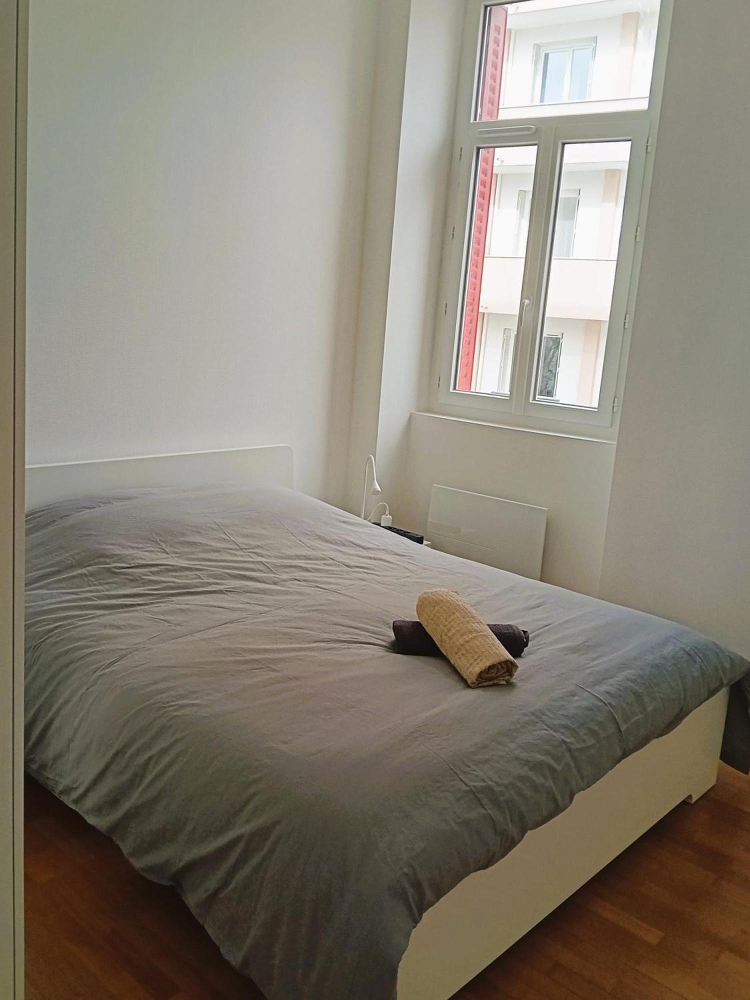 101 - Appart Renove Avec 1 Chambre Spacieuse - Tram Et Clinique Mutualiste A 1 Min 그르노블 외부 사진